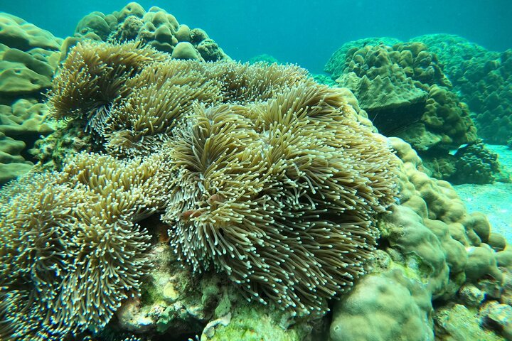Tour de 7 Ilhas Invisíveis em Koh Lipe por um barco longtail privado