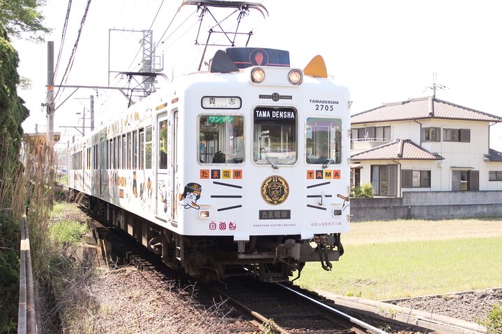 Wakayama: Cat Stationmaster Adventure på Kishliwa-linjen