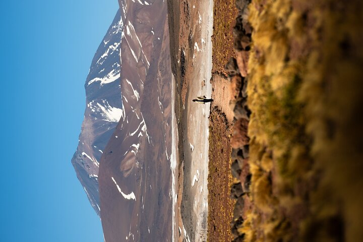 Tour Día Completo a Piedras Rojas, Lagunas Altiplanicas y Chaxa