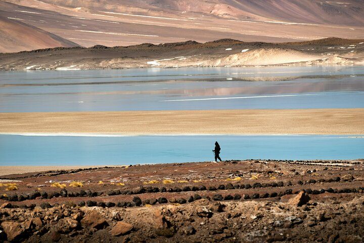 Tour Día Completo a Piedras Rojas, Lagunas Altiplanicas y Chaxa