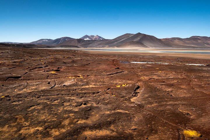 Tour Día Completo a Piedras Rojas, Lagunas Altiplanicas y Chaxa