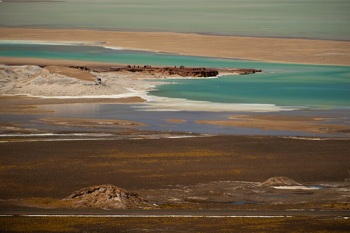 Tour Día Completo a Piedras Rojas, Lagunas Altiplanicas y Chaxa