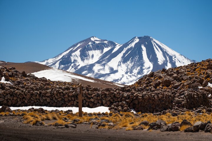 Tour Día Completo a Piedras Rojas, Lagunas Altiplanicas y Chaxa
