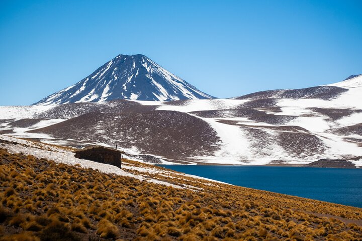 Tour Día Completo a Piedras Rojas, Lagunas Altiplanicas y Chaxa