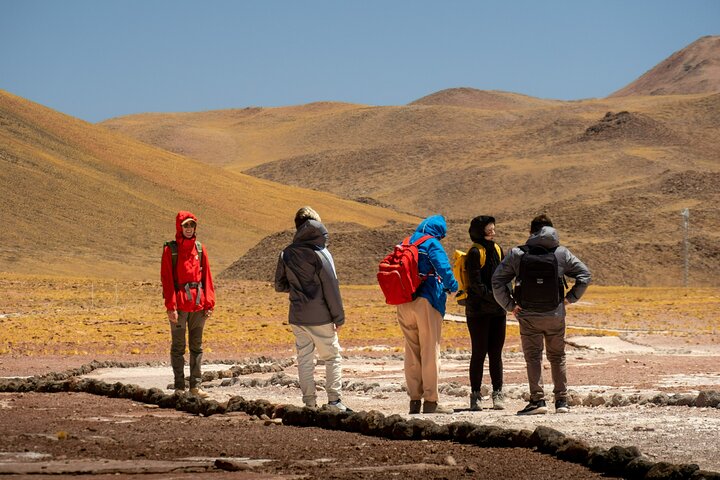 Tour Día Completo a Piedras Rojas, Lagunas Altiplanicas y Chaxa