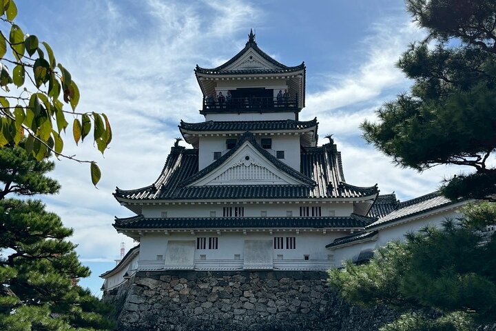 Il meglio di Kochi Tour di mezza giornata: Castello e mercato di Hirome