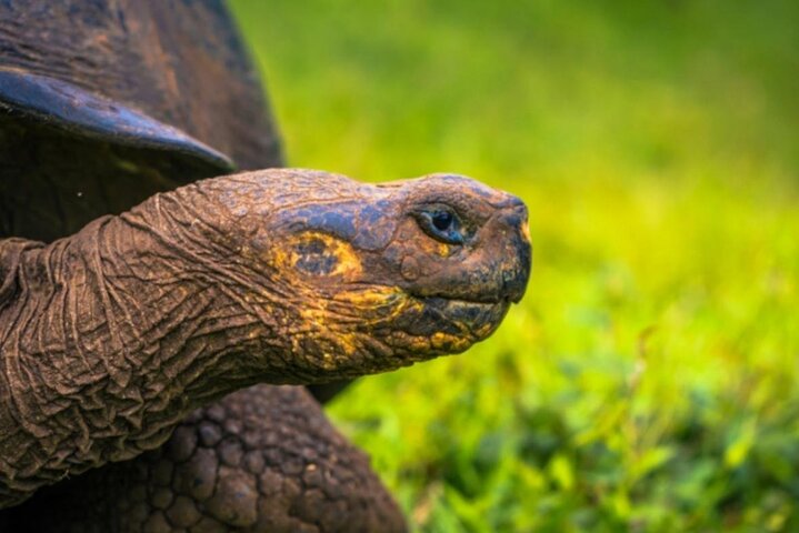 Tour di 7 giorni dell'isola delle Galapagos saltando con 3 isole