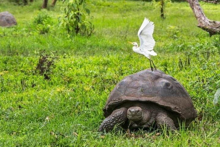 Tour di 7 giorni dell'isola delle Galapagos saltando con 3 isole