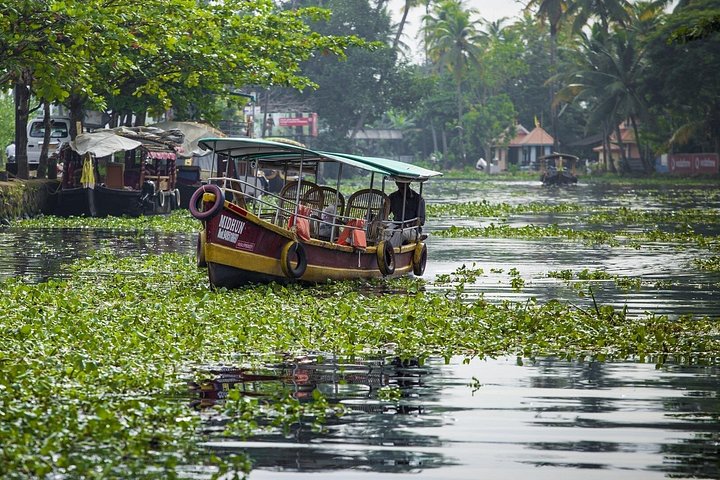 5-dagers Kerala tur med privat bil Houseboat Munnar og Thekkady