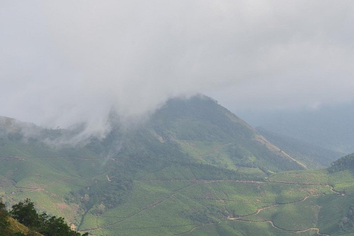 5-dagers Kerala tur med privat bil Houseboat Munnar og Thekkady