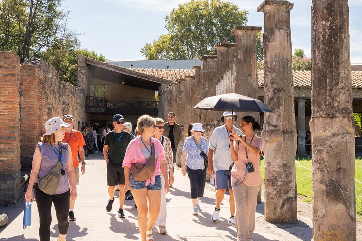 Premium Minivan Fahrt von Rom : Pompeji Tour & Mittagessen in Sorrent