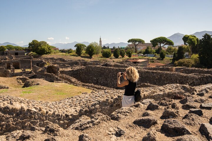 Premium Minivan Fahrt von Rom : Pompeji Tour & Mittagessen in Sorrent
