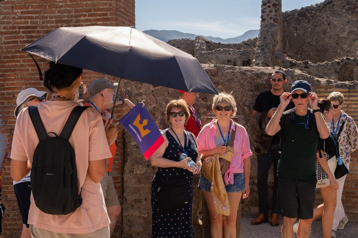 Premium Minivan Fahrt von Rom : Pompeji Tour & Mittagessen in Sorrent