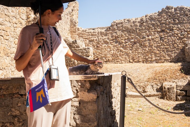 Premium Minivan Fahrt von Rom : Pompeji Tour & Mittagessen in Sorrent