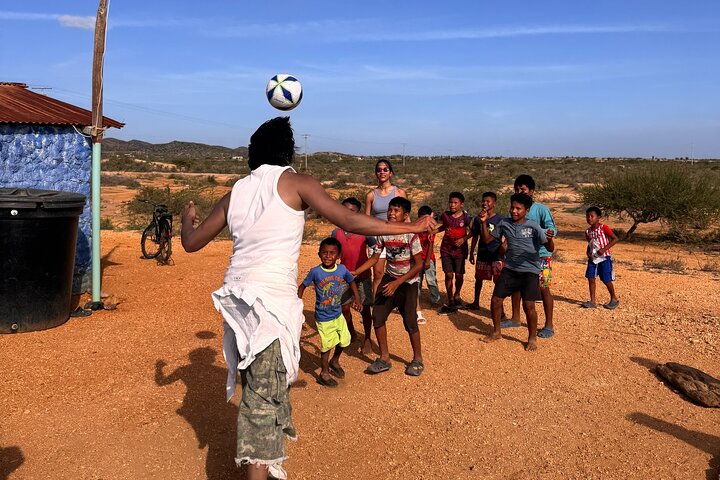 Bénévolat auprès des animaux et des communautés de Guajira