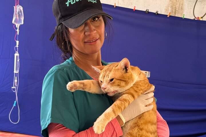 Bénévolat auprès des animaux et des communautés de Guajira