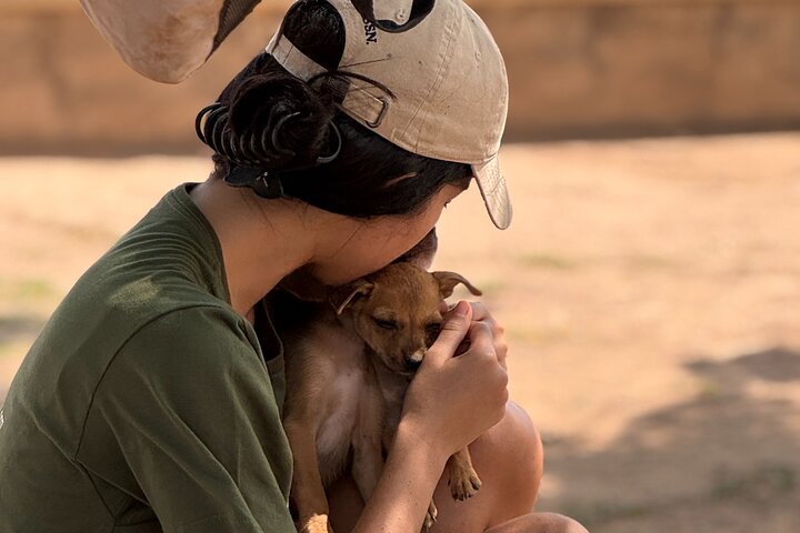 Bénévolat auprès des animaux et des communautés de Guajira