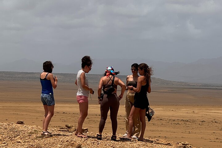 Bénévolat auprès des animaux et des communautés de Guajira