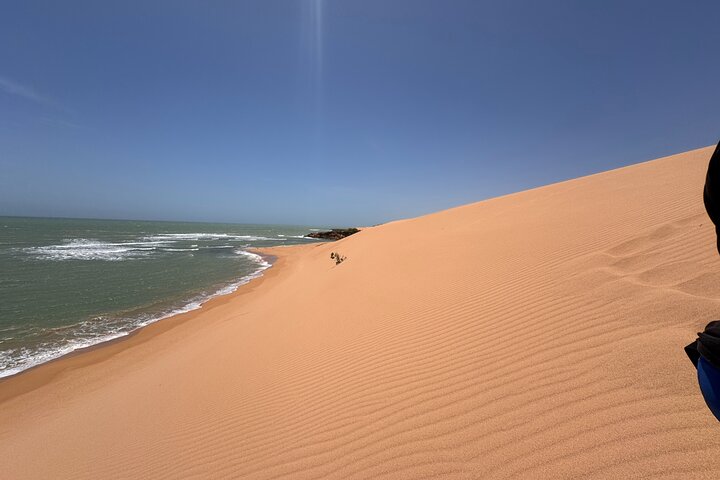 Bénévolat auprès des animaux et des communautés de Guajira