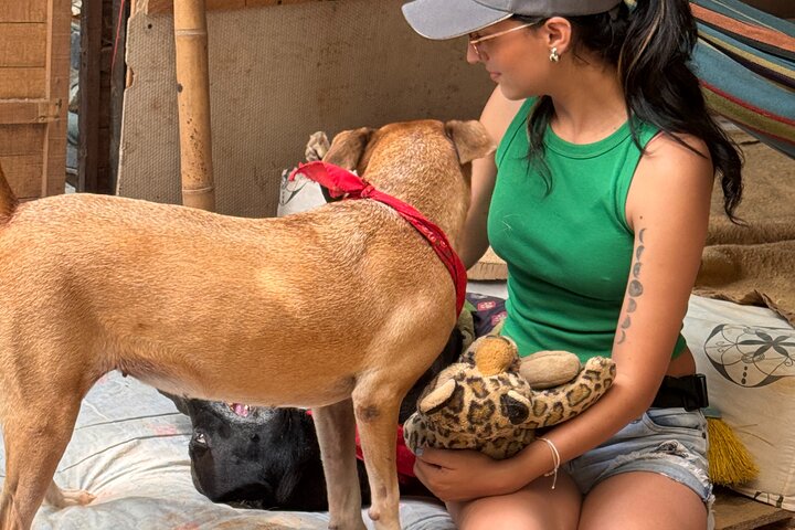 Bénévolat auprès des animaux et des communautés de Guajira