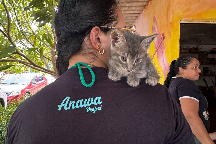 Bénévolat auprès des animaux et des communautés de Guajira