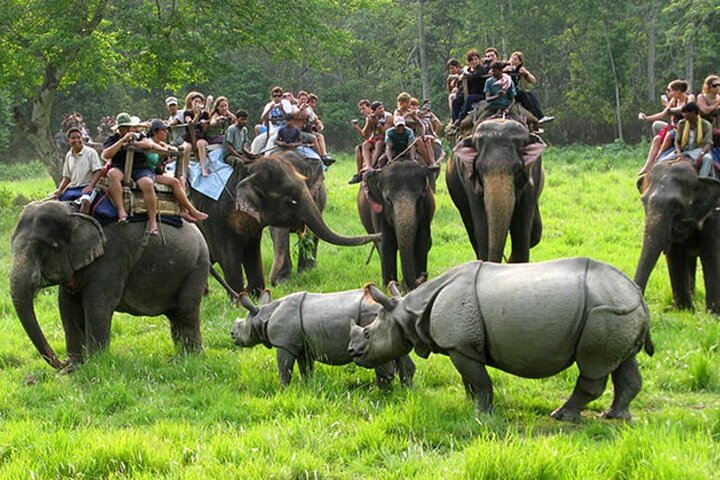 Halve dag Jeep Safari delen in Chitwan National Park