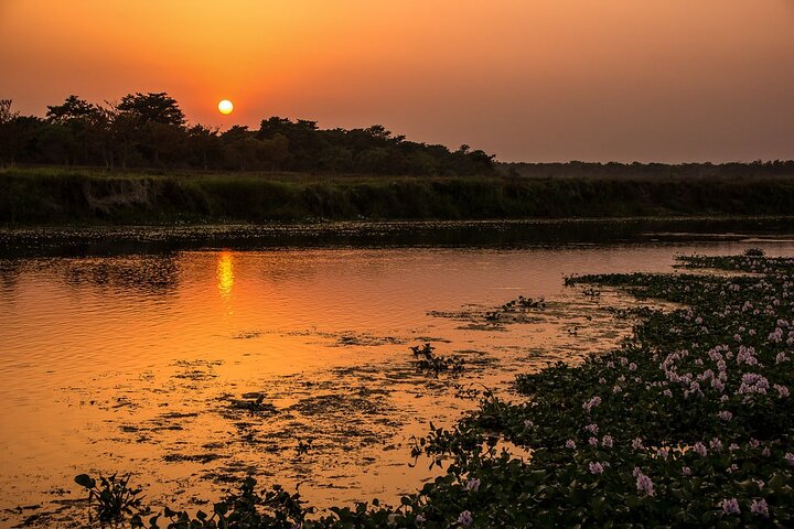 Halve dag Jeep Safari delen in Chitwan National Park