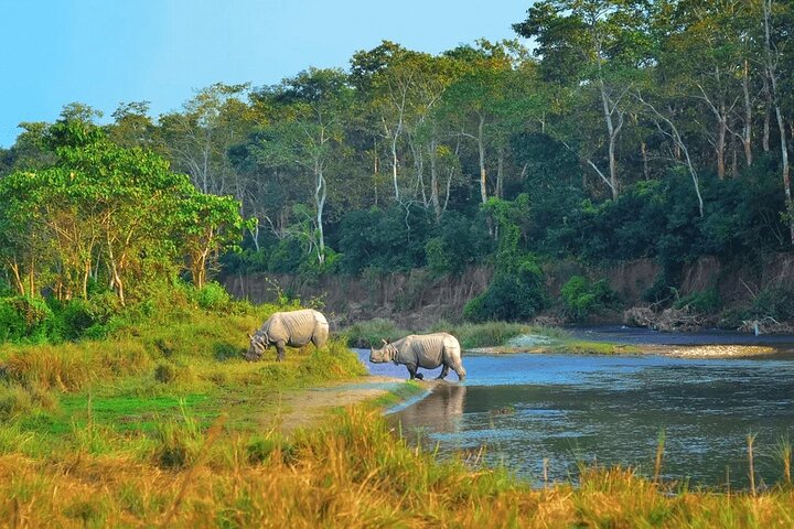 Halve dag Jeep Safari delen in Chitwan National Park