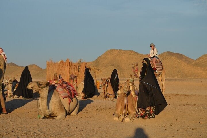 Quadrijden en kameelrijden met bedoeïenenshow in Marsa Alam
