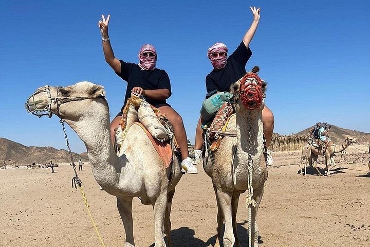 Quadrijden en kameelrijden met bedoeïenenshow in Marsa Alam