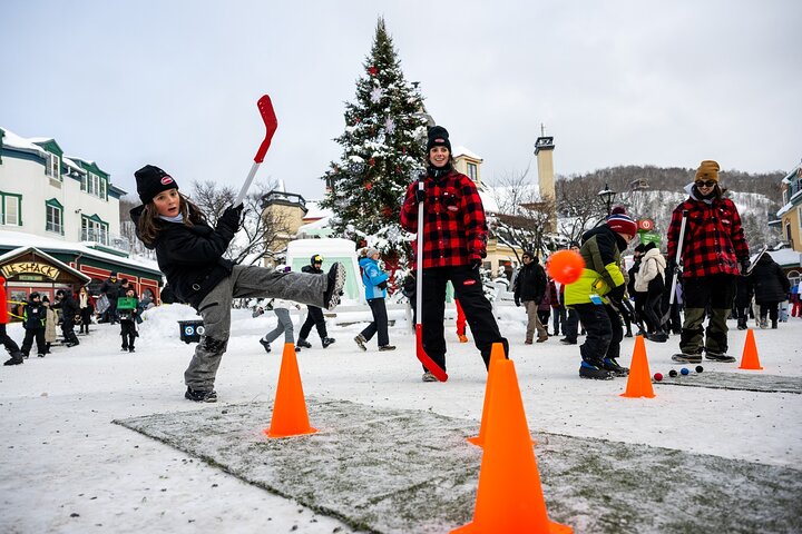 Privétransfer naar Montreal YUL Airport van Mont-Tremblant