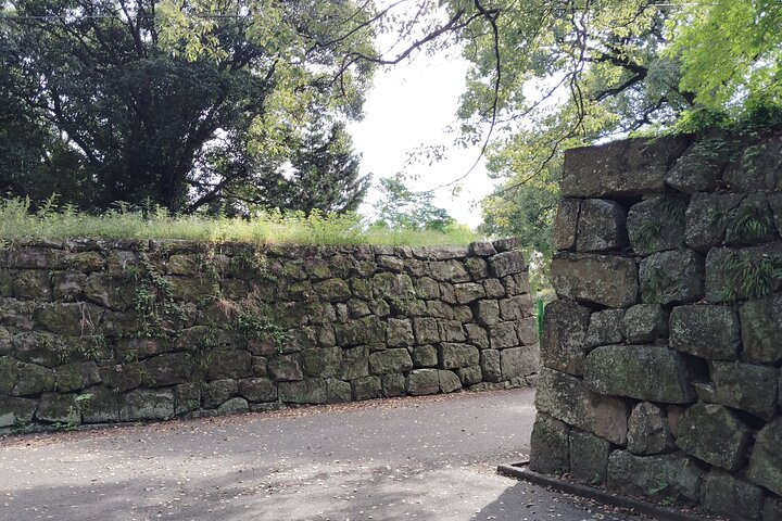 Wakayama: Tokugawa Slot, der beskyttede den sydlige kyst