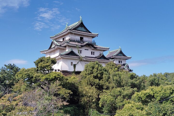 Wakayama: Tokugawa Slot, der beskyttede den sydlige kyst