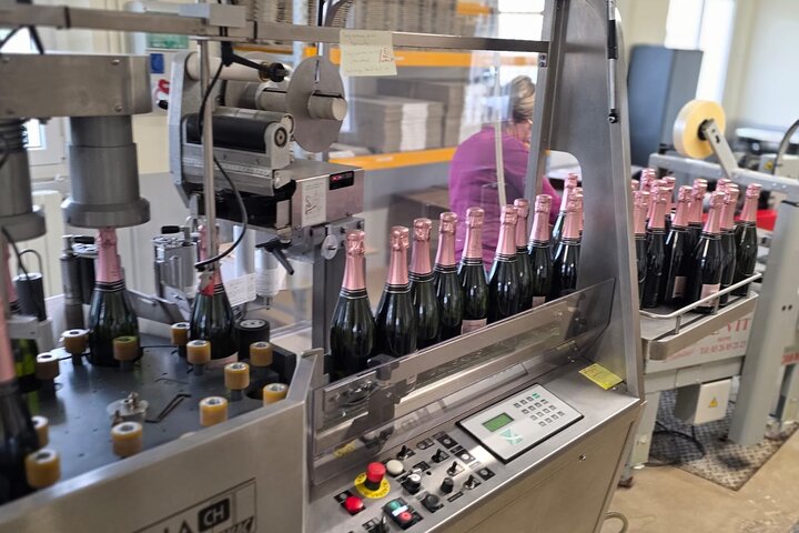 Champagne Muñoz Bruneau: visita y degustación de medio día