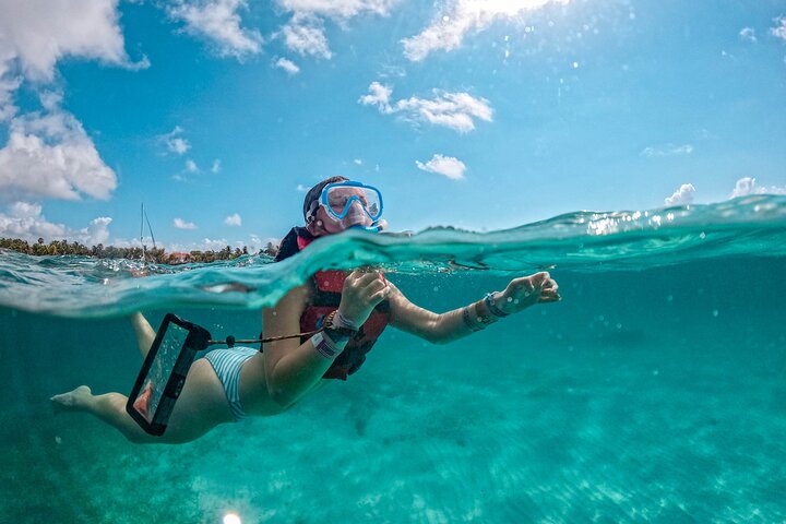 Halbtägige Meeresschildkröten- und Cenote-Schnorcheltour ab Cancun und Riviera Maya