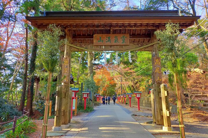 Escursione di un'intera giornata al Monte Takao, inclusa la sorgente termale