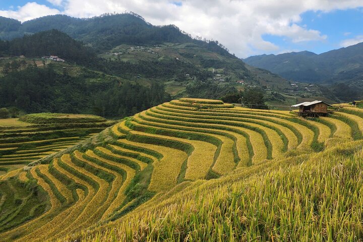 2 dias Mu Cang Chai Trekking Adventure