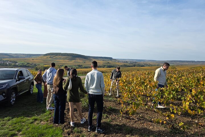 Champagne Muñoz Bruneau: visita y degustación de medio día