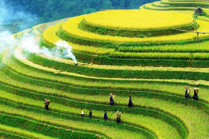 Sapa No-Trek Eco Tour : Valle de Muong Hoa & Ta Van, Spa a pie, Café