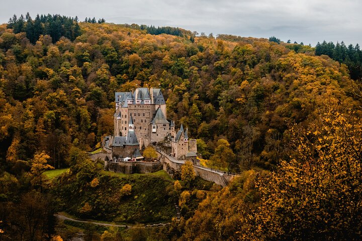 Frankfurt : Castillo de Eltz, Cochem y Valle del Mosela Tour Privado