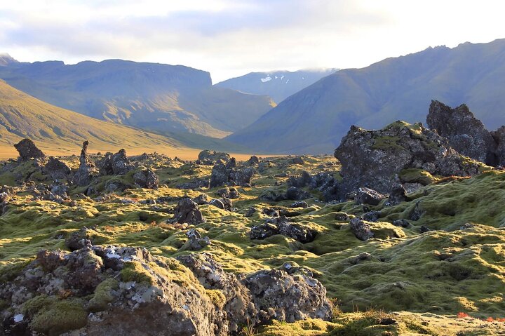 Privat Snæfellsnes Peninsula Shore Utflykt från Grundarfjörður