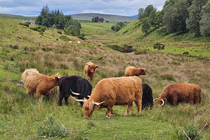 Rejs den store Glen til Glencoe [Harry Potter Trail]