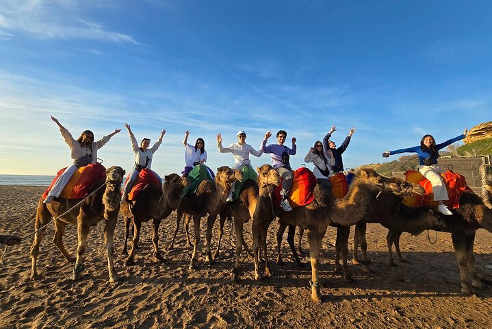 VIP Tangier Private Day Tour from Tarifa - Ferry & Camel Ride