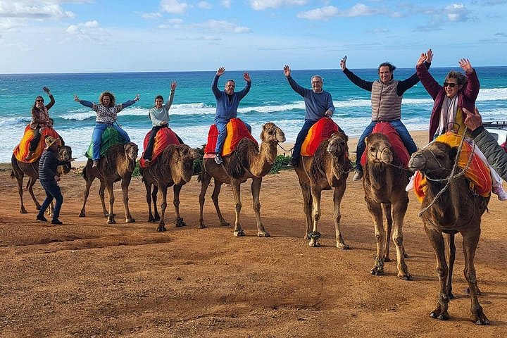 VIP Tangier Private Day Tour from Tarifa - Ferry & Camel Ride