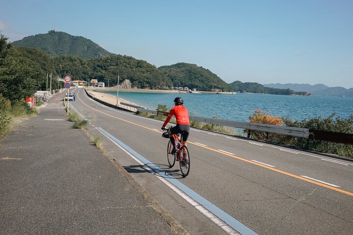 Excursion privée d'une demi-journée à vélo électrique Shimanami Kaido - 3 itinéraires