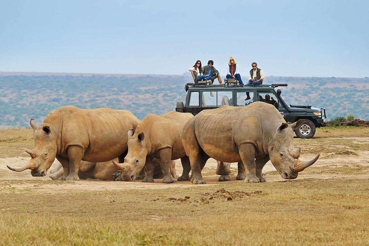 Rwanda's Only Group Safari to Akagera