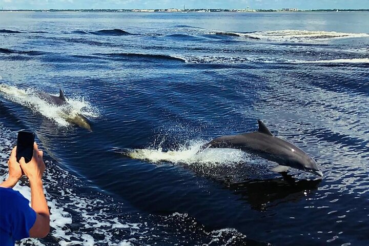 Hoteller i nærheden af Pensacola Beach Dolphin and Scenic Tour