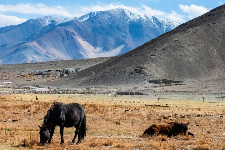 Tour privato del Ladakh India di 7 giorni con trasporto