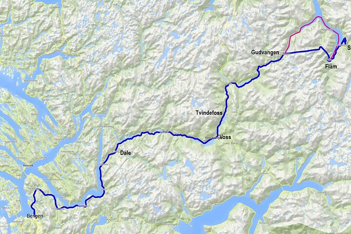 Bergen : Croisière UNESCO NærøyFjord, Flåm & Stegastein - Incl. Déjeuner