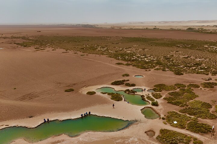 Avventura in 4×4 nel deserto di Dakhla – Duna Bianca e Oasi di Imlili